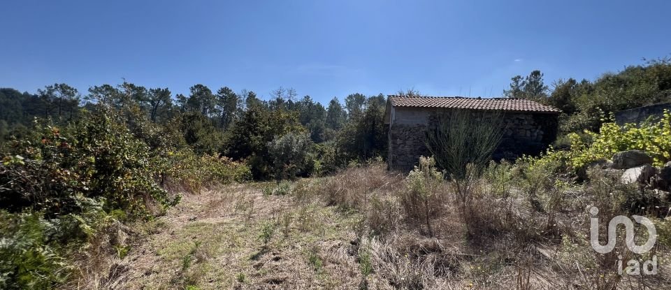 Quinta T3 em Fataunços e Figueiredo das Donas de 155 m²