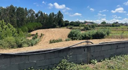 Terreno em Souto da Carpalhosa e Ortigosa de 3 900 m²