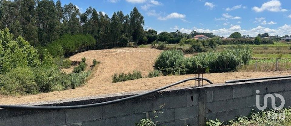 Terreno em Souto da Carpalhosa e Ortigosa de 3 900 m²