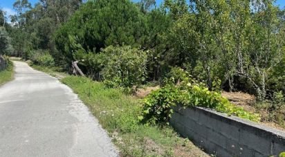 Land in Souto da Carpalhosa e Ortigosa of 3,900 m²