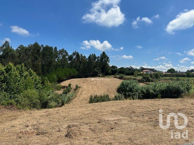 Terreno em Souto da Carpalhosa e Ortigosa de 3 900 m²