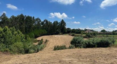 Terreno em Souto da Carpalhosa e Ortigosa de 3 900 m²