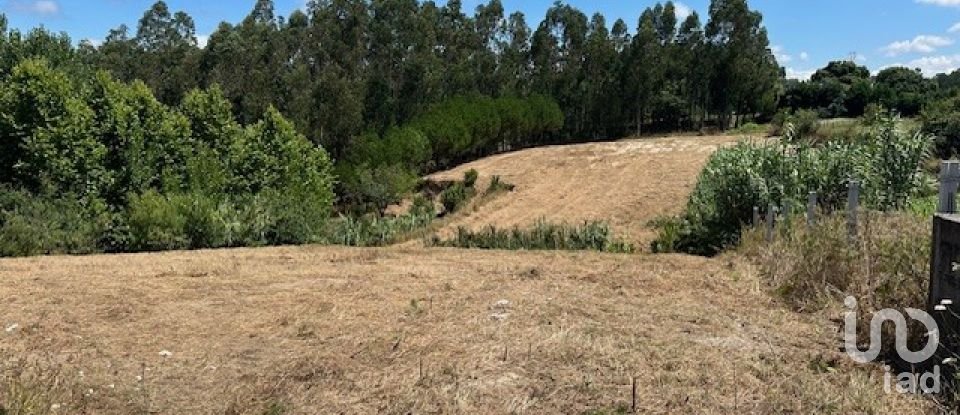 Terreno em Souto da Carpalhosa e Ortigosa de 3 900 m²