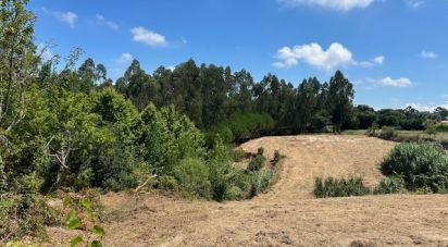 Terreno em Souto da Carpalhosa e Ortigosa de 3 900 m²