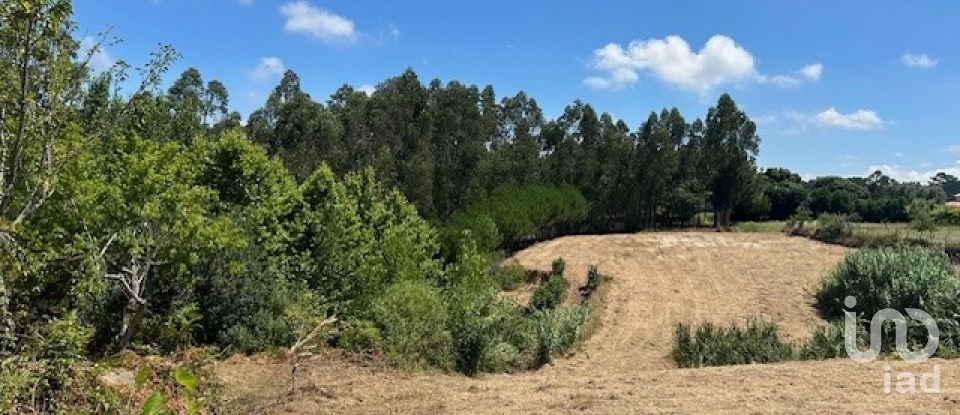 Terreno em Souto da Carpalhosa e Ortigosa de 3 900 m²