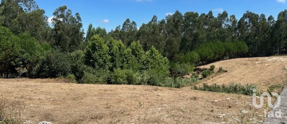 Terreno em Souto da Carpalhosa e Ortigosa de 3 900 m²