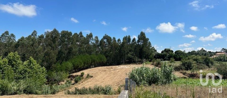 Terreno em Souto da Carpalhosa e Ortigosa de 3 900 m²