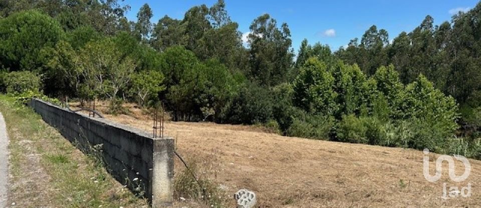 Terreno em Souto da Carpalhosa e Ortigosa de 3 900 m²