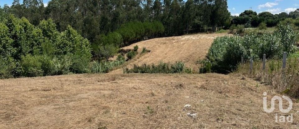 Terreno em Souto da Carpalhosa e Ortigosa de 3 900 m²