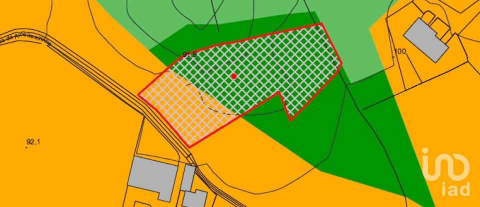 Terreno em Souto da Carpalhosa e Ortigosa de 3 900 m²