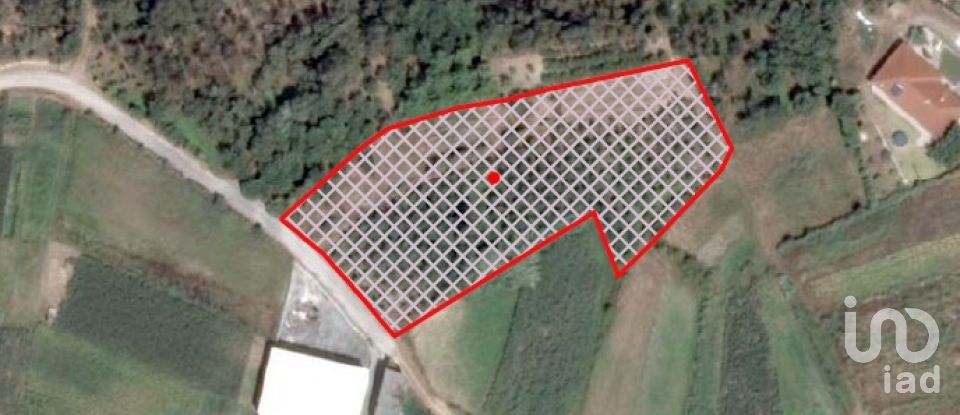 Terreno em Souto da Carpalhosa e Ortigosa de 3 900 m²