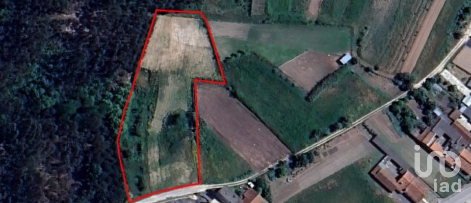 Terreno em Souto da Carpalhosa e Ortigosa de 3 900 m²