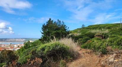 Terreno em São Martinho do Porto de 9 365 m²