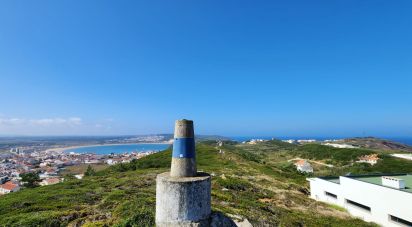 Terreno em São Martinho do Porto de 9 365 m²