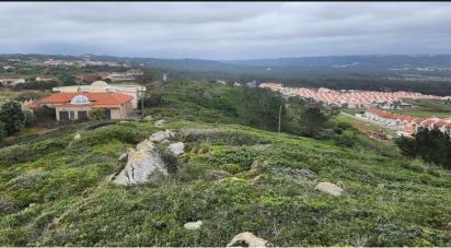 Terreno em São Martinho do Porto de 9 365 m²