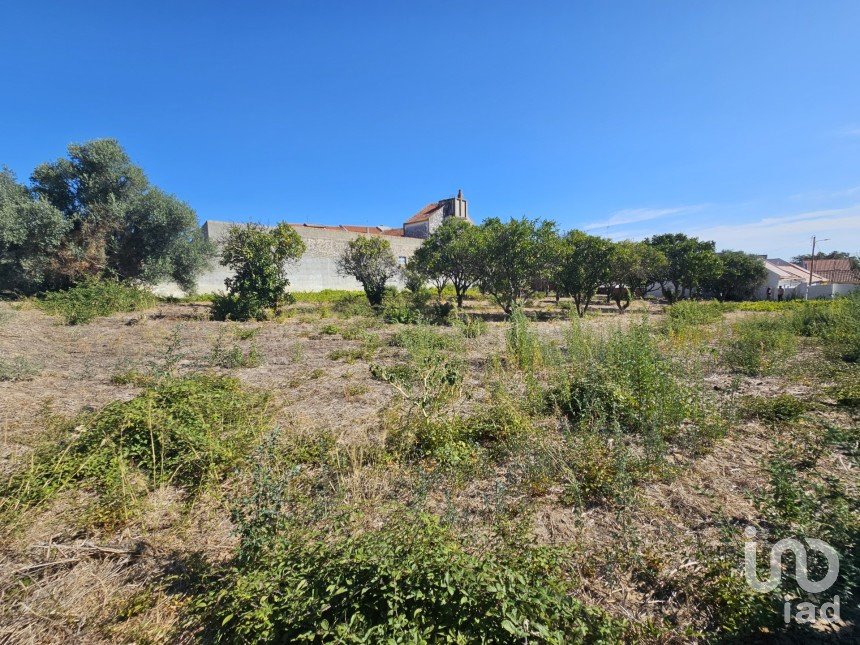 Land in Palmela of 1,590 m²