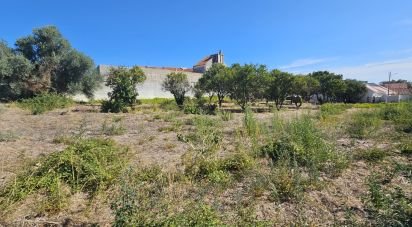 Land in Palmela of 1,590 m²