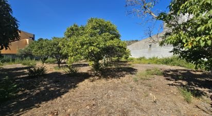 Land in Palmela of 1,590 m²