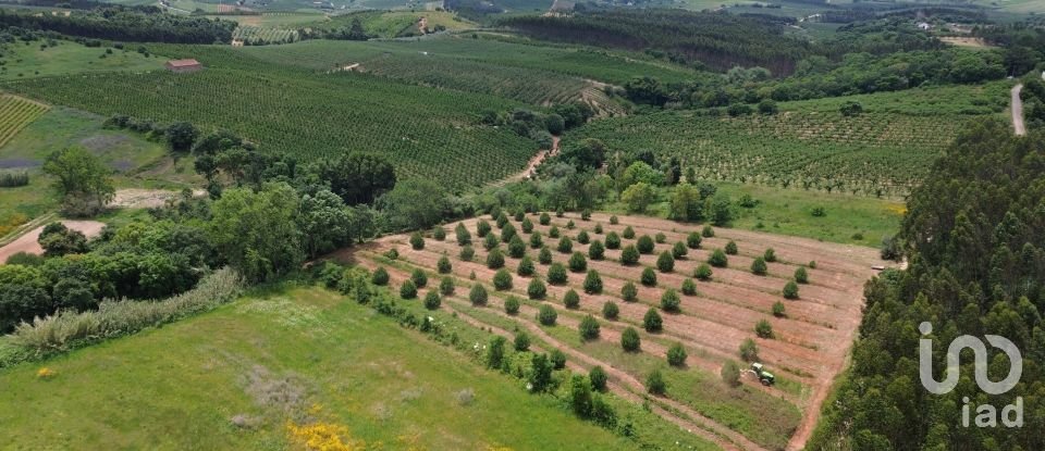 Terrain à Peral de 6 458 m²