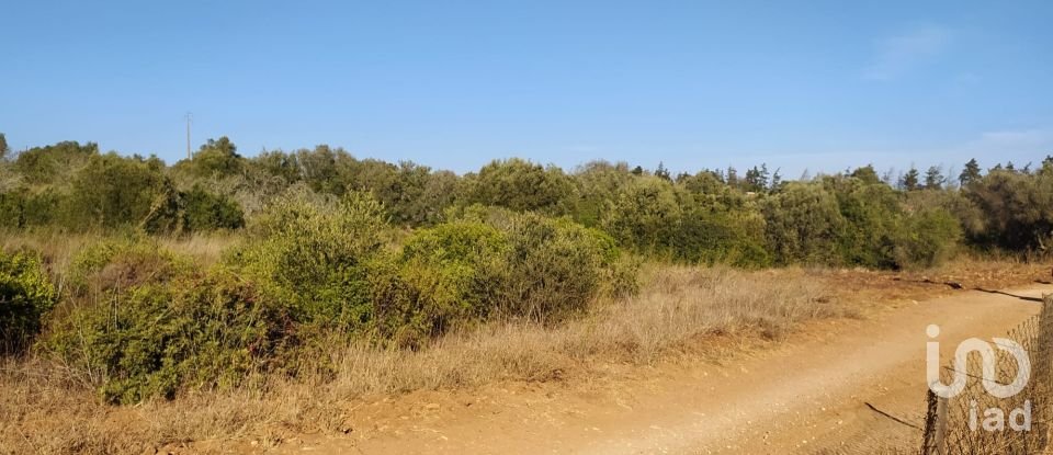 Terreno em Barão de São Miguel de 3 520 m²