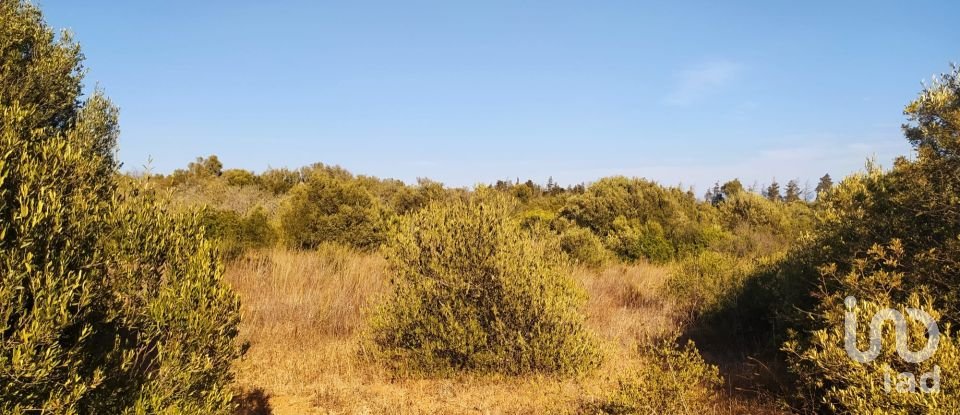 Terreno em Barão de São Miguel de 3 520 m²