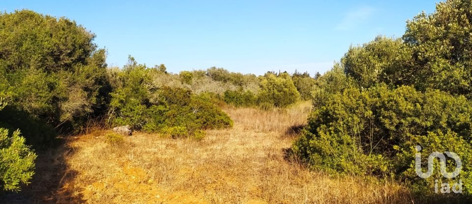 Terreno em Barão de São Miguel de 3 520 m²