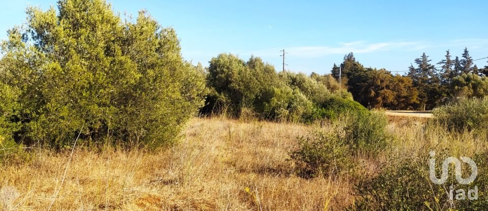 Terreno em Barão de São Miguel de 3 520 m²