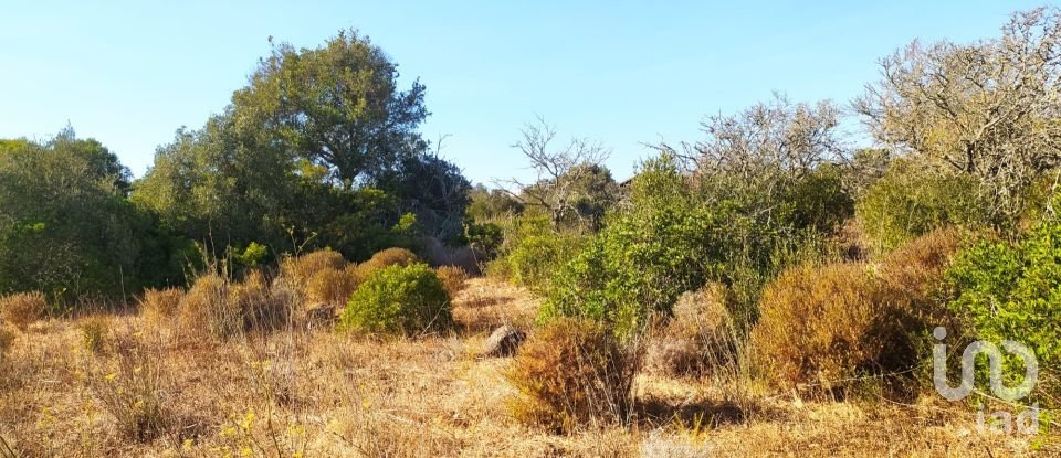 Terreno em Barão de São Miguel de 3 520 m²