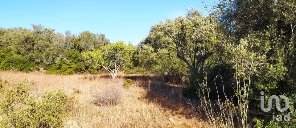 Terreno em Barão de São Miguel de 3 520 m²