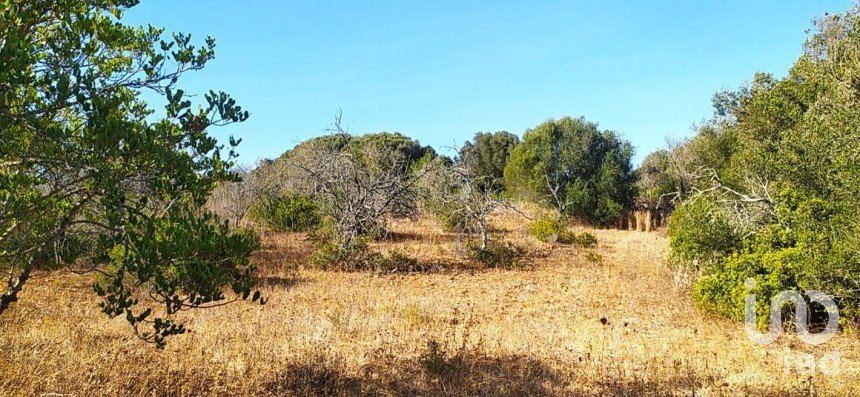 Terreno em Barão de São Miguel de 3 520 m²