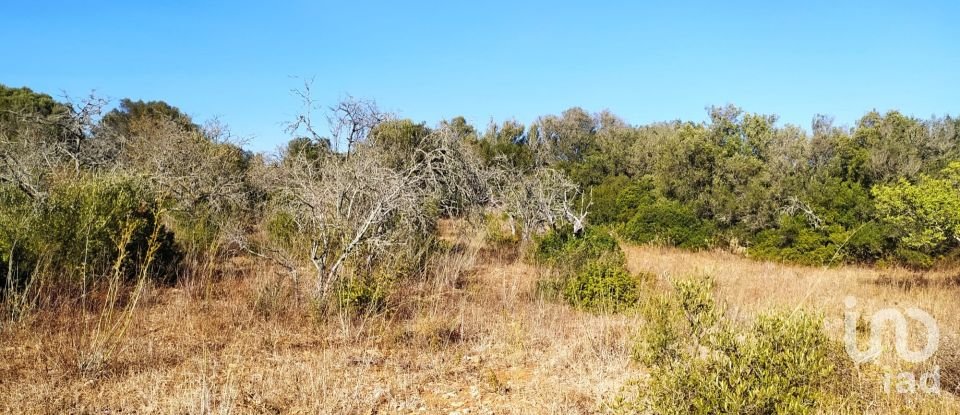 Terreno em Barão de São Miguel de 3 520 m²