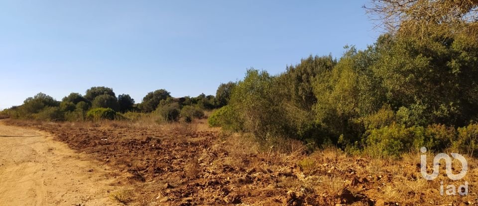 Terreno em Barão de São Miguel de 3 520 m²