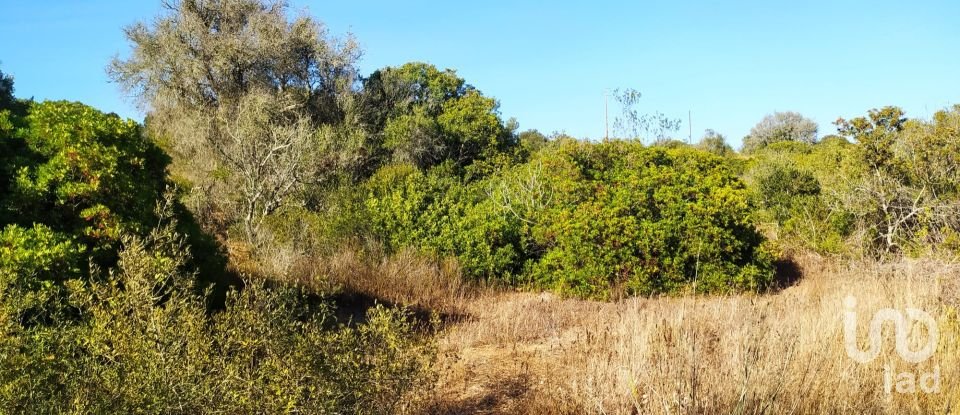 Terreno em Barão de São Miguel de 3 520 m²