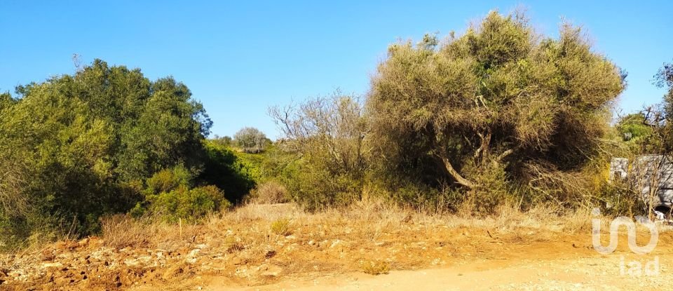 Terreno em Barão de São Miguel de 3 520 m²