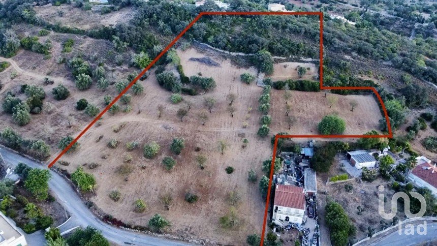 Terreno Agrícola em Santa Bárbara de Nexe de 14 400 m²