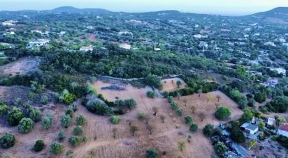 Terreno Agrícola em Santa Bárbara de Nexe de 14 400 m²