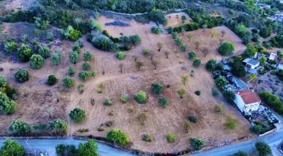 Terreno Agrícola em Santa Bárbara de Nexe de 14 400 m²