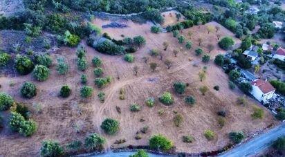 Terreno Agrícola em Santa Bárbara de Nexe de 14 400 m²