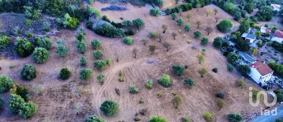 Terreno Agrícola em Santa Bárbara de Nexe de 14 400 m²