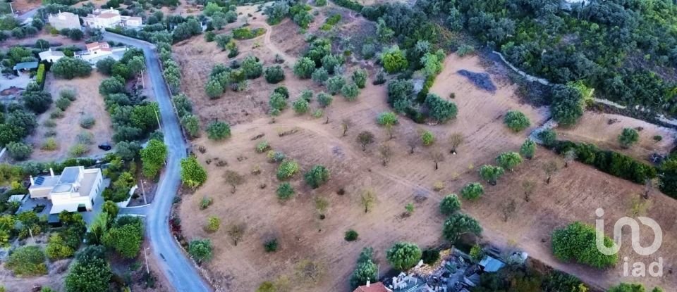 Agricultural land in Santa Bárbara de Nexe of 14,400 m²