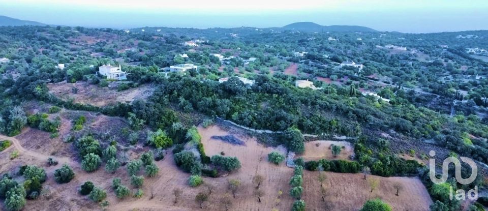 Terreno Agrícola em Santa Bárbara de Nexe de 14 400 m²