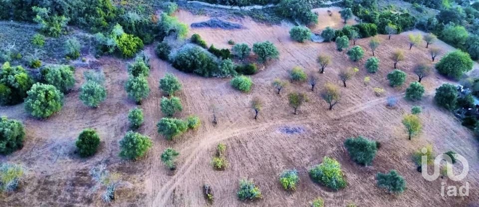 Terreno Agrícola em Santa Bárbara de Nexe de 14 400 m²