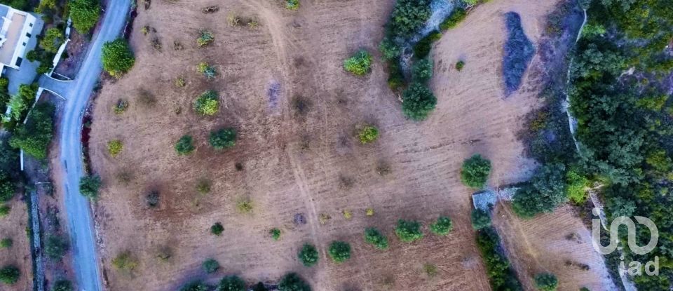 Terreno Agrícola em Santa Bárbara de Nexe de 14 400 m²