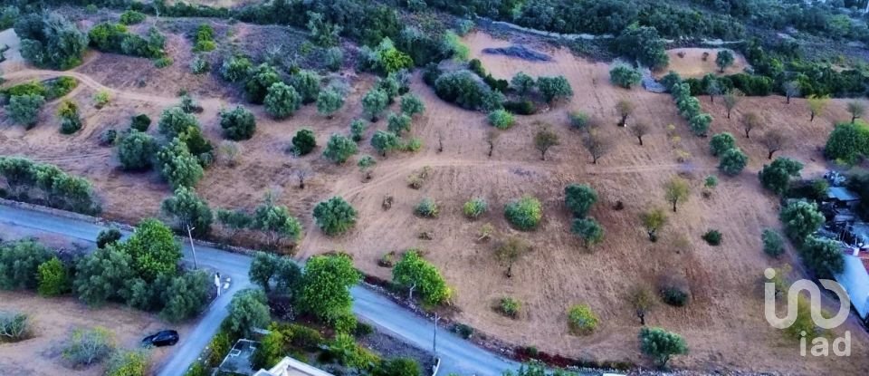 Agricultural land in Santa Bárbara de Nexe of 14,400 m²