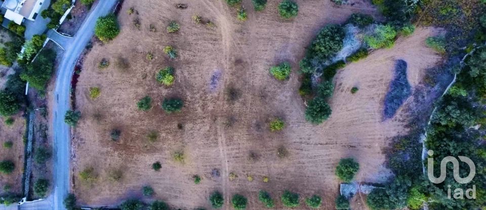 Terreno Agrícola em Santa Bárbara de Nexe de 14 400 m²