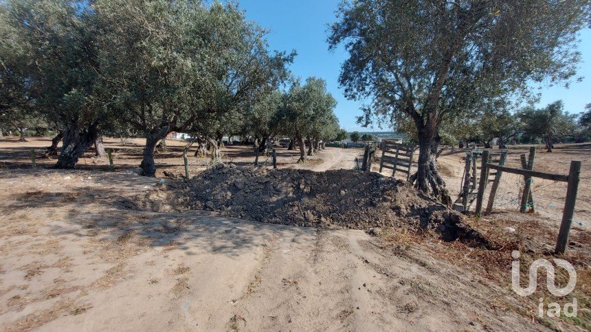 Terreno de Lazer em Alcácer do Sal (Santa Maria do Castelo e Santiago) e Santa Susana de 8 000 m²