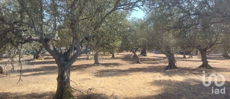 Terreno de Lazer em Alcácer do Sal (Santa Maria do Castelo e Santiago) e Santa Susana de 8 000 m²