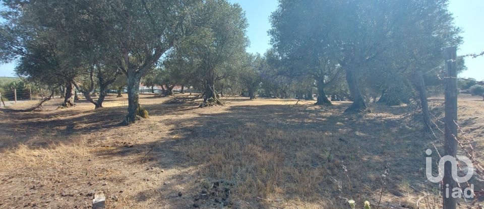 Terreno de Lazer em Alcácer do Sal (Santa Maria do Castelo e Santiago) e Santa Susana de 8 000 m²