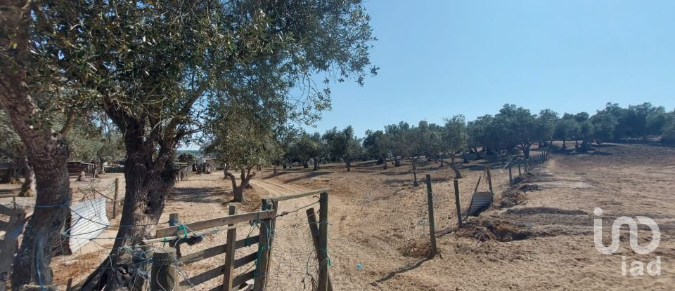 Terreno de Lazer em Alcácer do Sal (Santa Maria do Castelo e Santiago) e Santa Susana de 8 000 m²