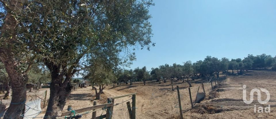 Terreno de Lazer em Alcácer do Sal (Santa Maria do Castelo e Santiago) e Santa Susana de 8 000 m²